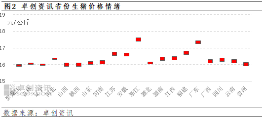 最新猪价早报，今日行情分析