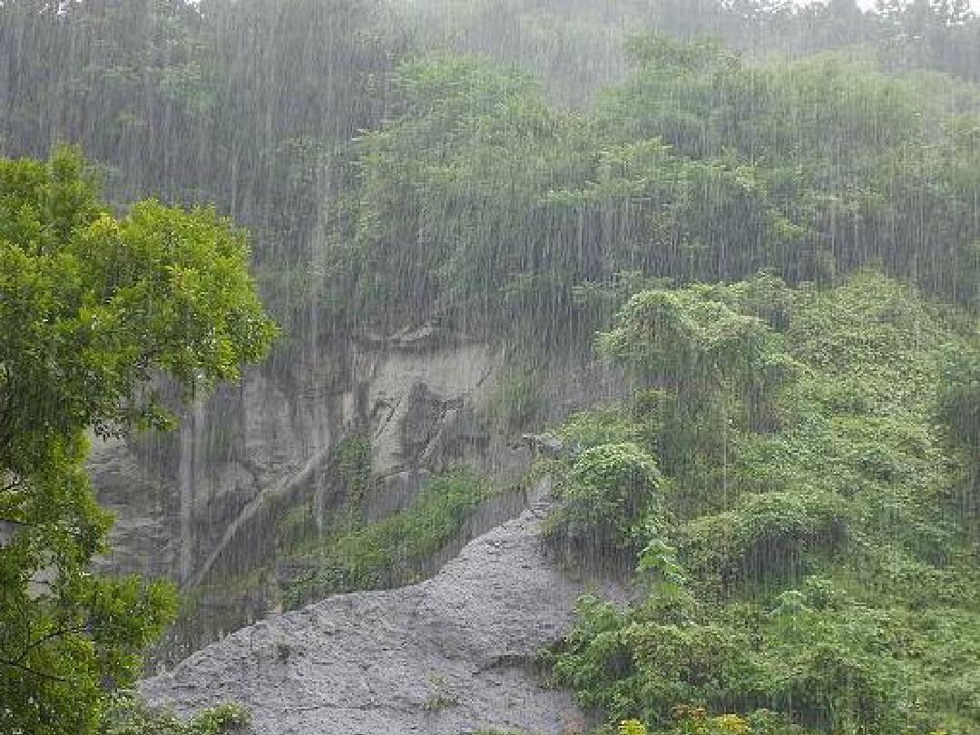 山雨下载，自然与心灵的交响之旅