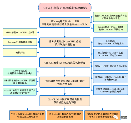 600图库大全免费资料图2024,权威诠释推进方式_Tablet57.323