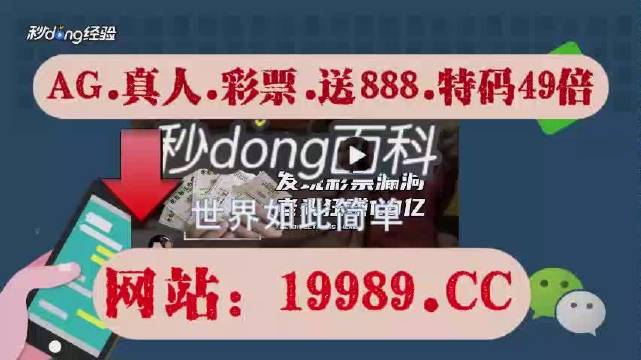 2024澳门天天六开彩免费香港,高效实施方法解析_AP67.755