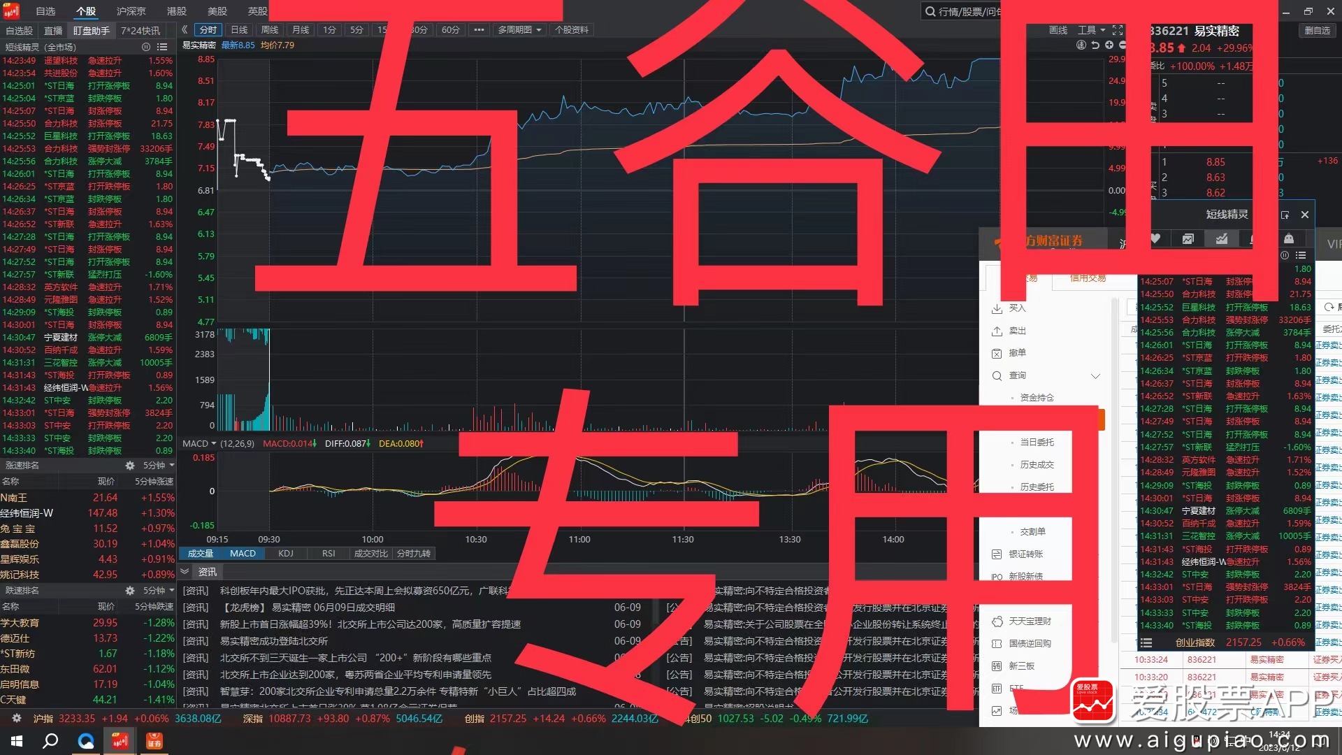 五谷丰登股市直播最新动态分析与解读