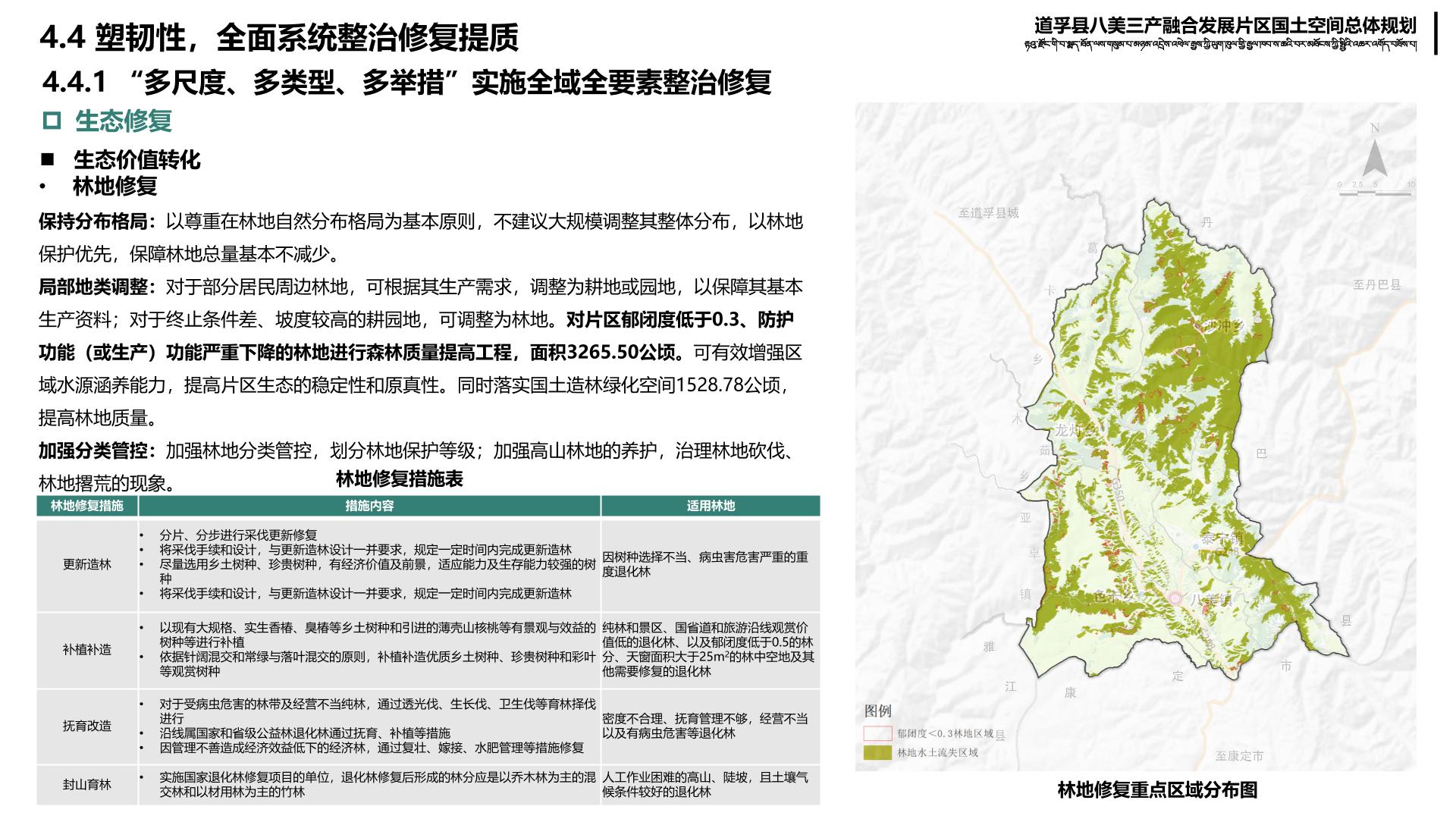 东川区发展和改革局最新发展规划概览