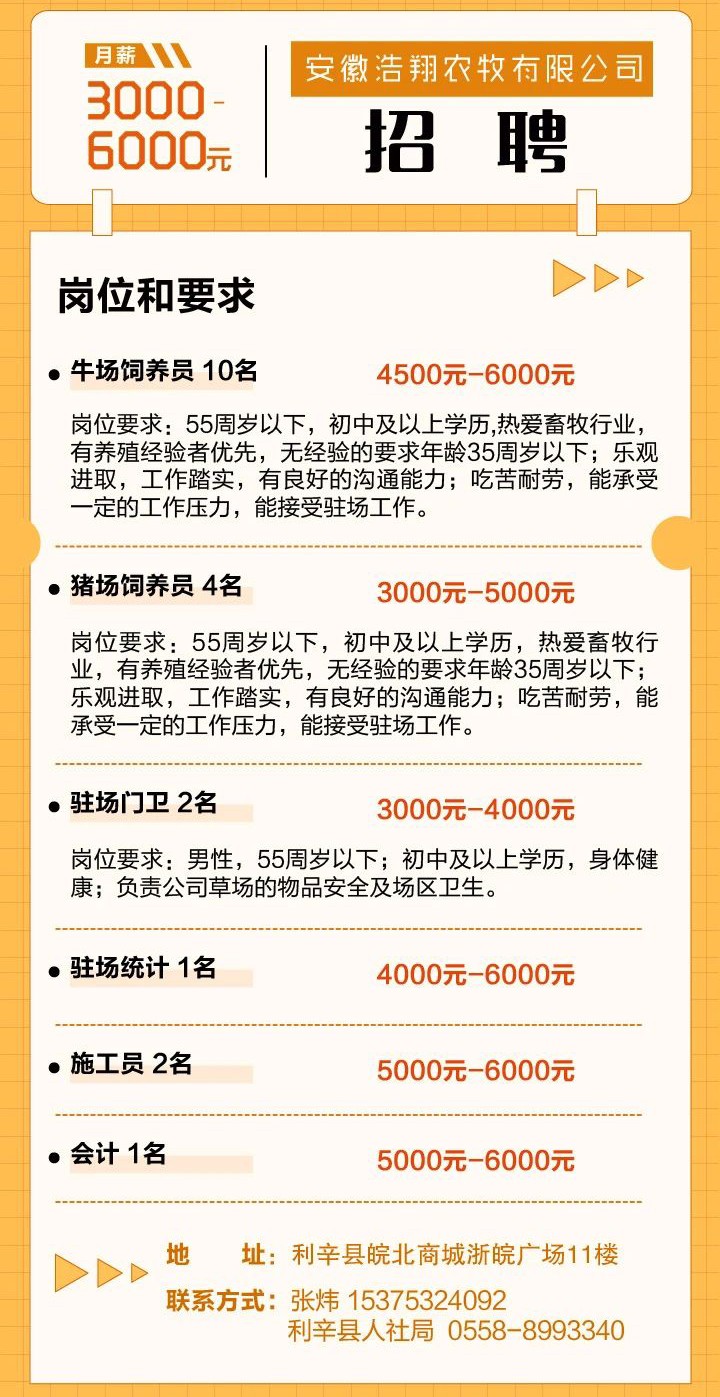 最新工作招聘信息概览发布，职位信息一网打尽