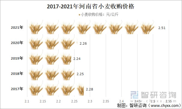 安徽亳州小麦最新价格动态分析揭秘，市场行情与趋势展望