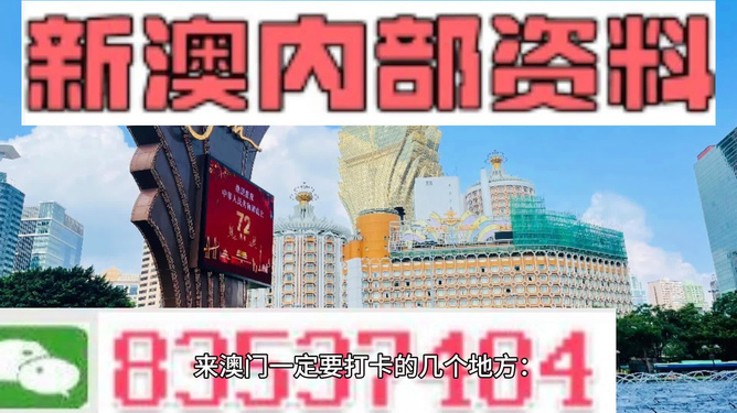 2024年新澳门王中王免费,实地考察分析_MR62.969