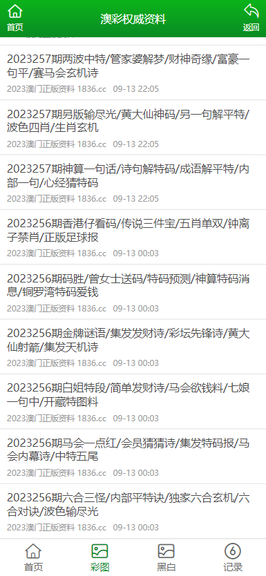 2024新澳门资料大全123期,重要性解释落实方法_特供款73.920