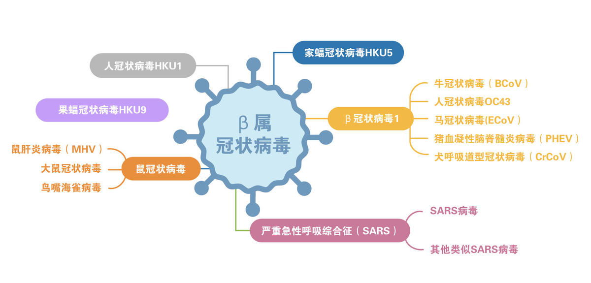 最新病毒原因探究