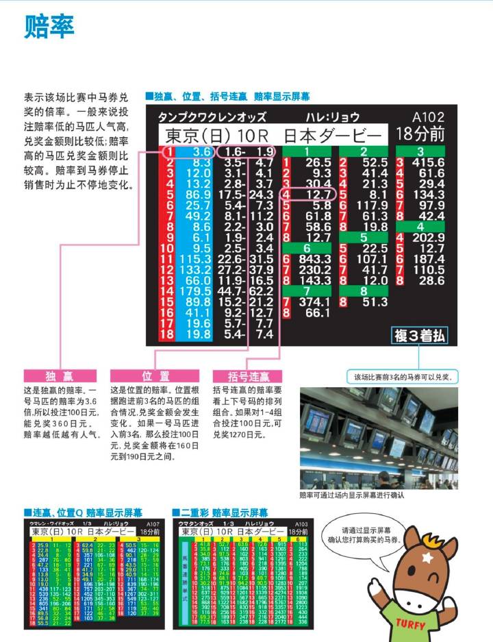 132688am马会传真查询,多元化方案执行策略_云端版72.59