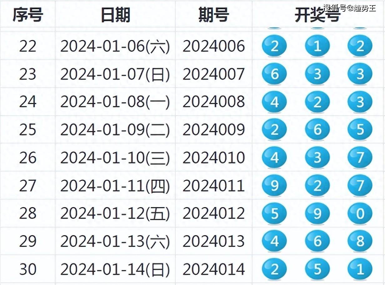 2024年新澳历史开奖记录,实地研究解释定义_Pixel15.158