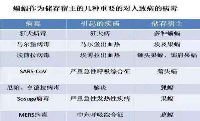 新澳今晚开奖结果查询,权威诠释推进方式_3K88.181