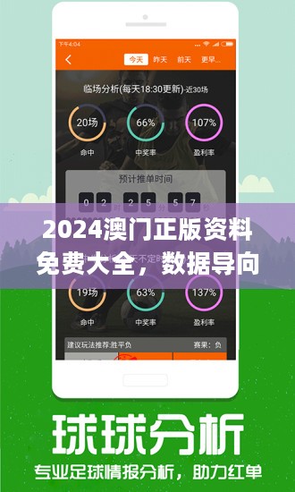 2024年正版免费天天开彩,正确解答落实_复古款82.865