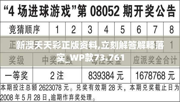 2024新澳今晚开奖资料,高效性计划实施_3D47.745