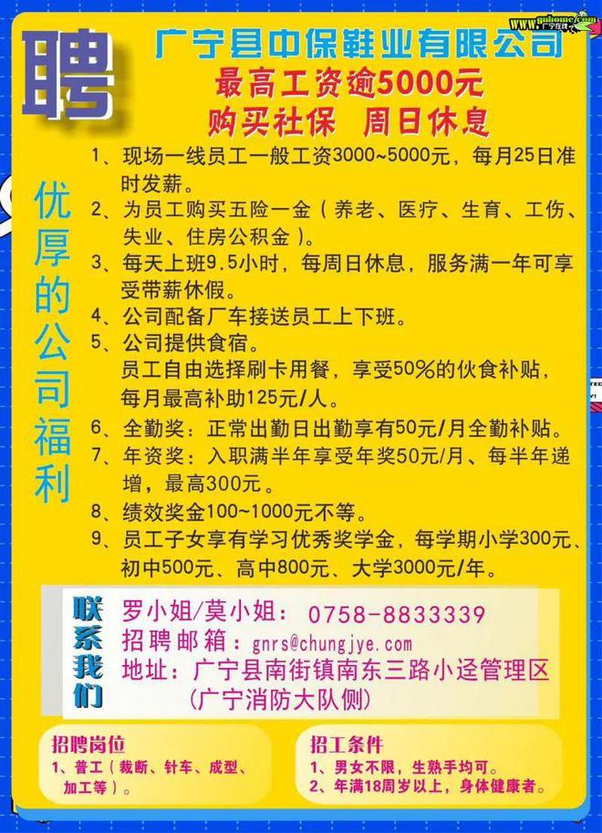 罗定最新招工信息一览